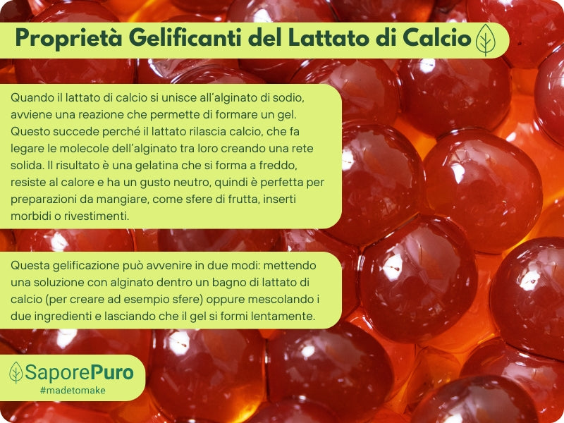 Lattato di calcio in polvere  - E327 - Sferificazione Molecolare - SaporePuro