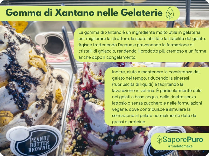 Gomma di Xantano - E415 -  Confezionato in Italia - SaporePuro