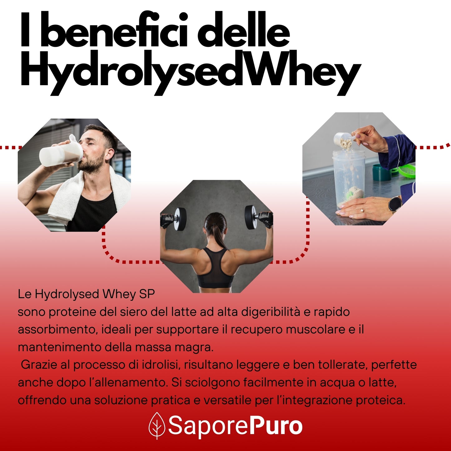 HydrolysedWhey SP SaporePuro – Proteine Idrolizzate e Isolate del Latte - 100% Optipep 9862 - SaporePuro