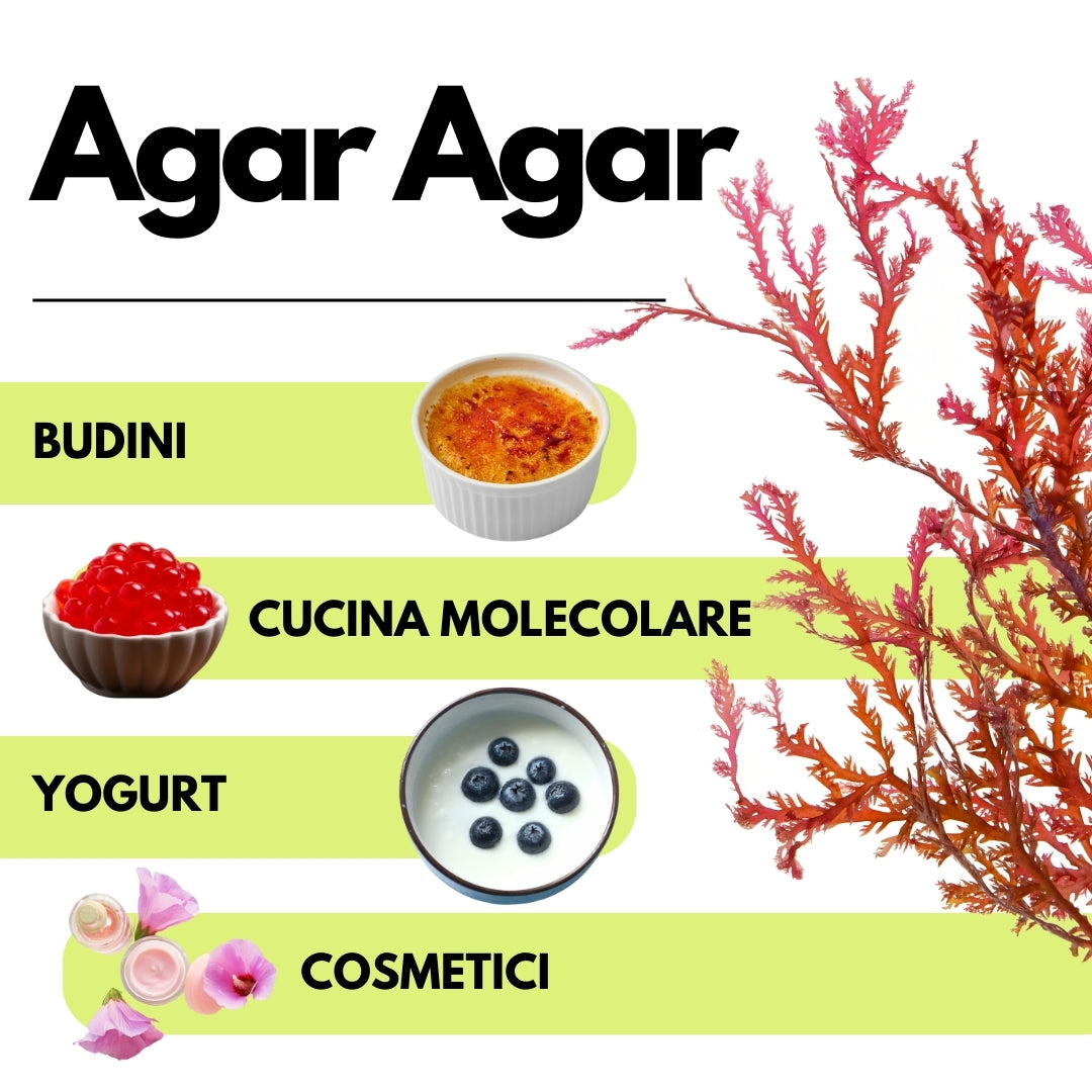 Agar Agar - E406 - Gelificante Naturale - Origine ITALIA - SaporePuro