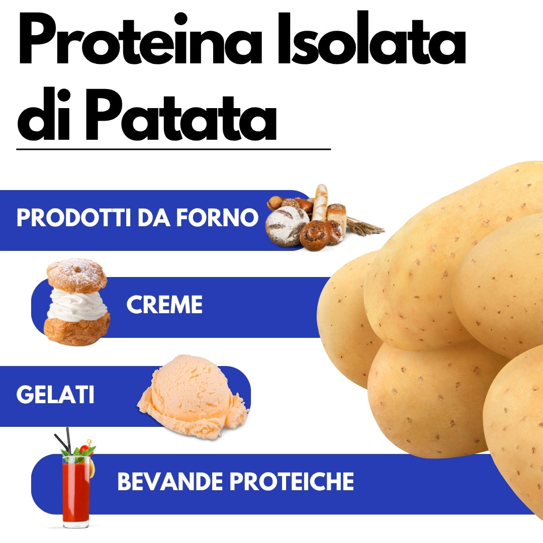 Proteine Isolate di Patata - Albume Vegano - VegeWhip - Per realizzare prodotti Vegan - SaporePuro