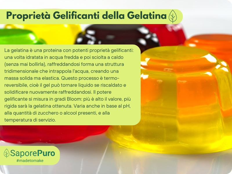 Gelatina Istantanea 200-220 bloom - Cold - Tipo A - E441 - SaporePuro