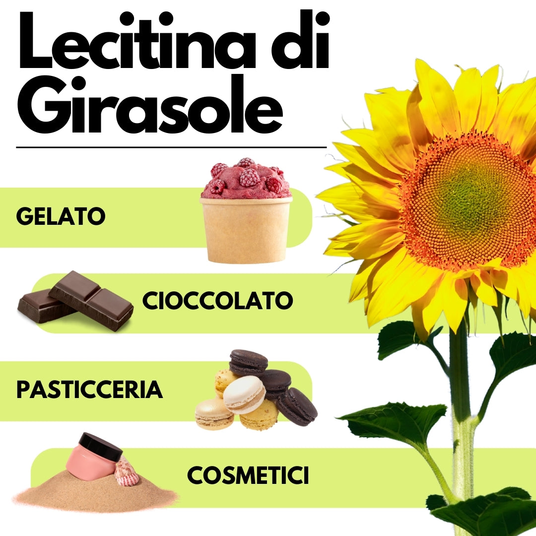 Lecitina de girasol E322 - Desaceitada - Alternativa a la soja - FlavourPure