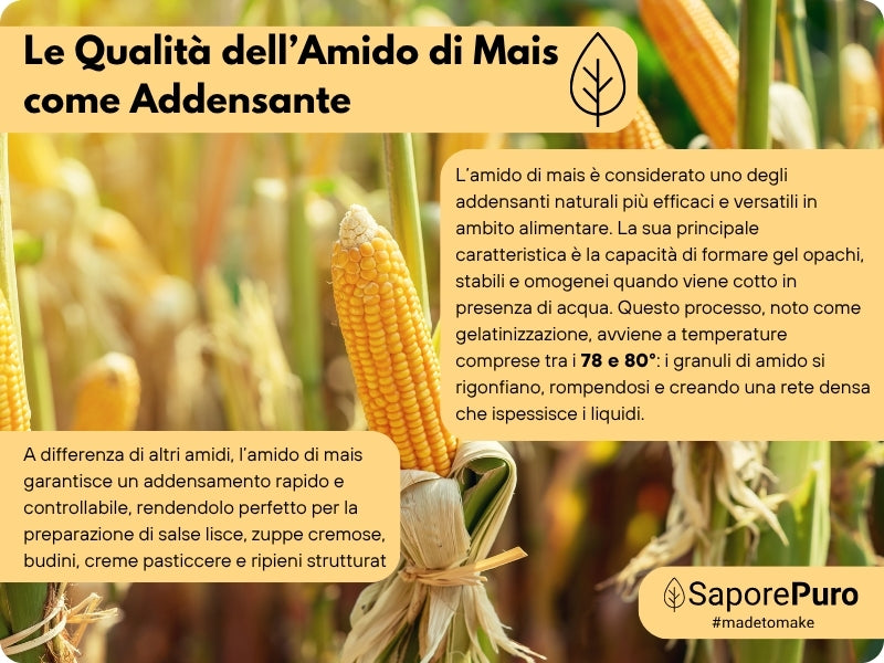 Amido di mais Nativo - Addensante potente, naturale e funzionale- Gluten Free - SaporePuro