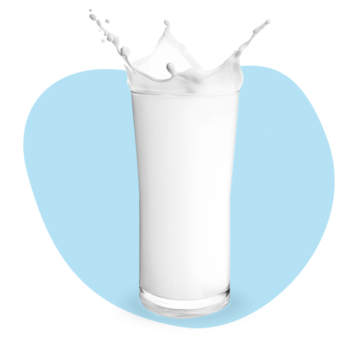 Milch und Milchderivate