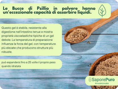 Bucce di Psillio in Polvere -Fibra di Psillio - 500gr - SaporePuro