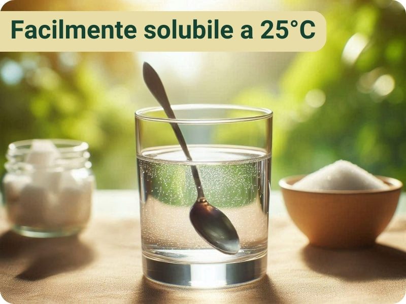 Inulina in polvere pura - 250gr - SaporePuro