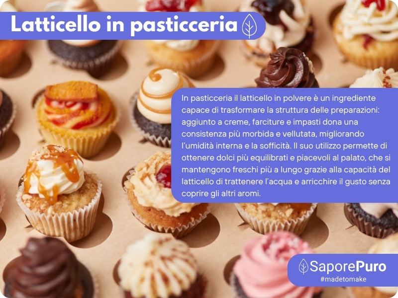 Latticello in polvere - 1KG - Siero di Latte in polvere