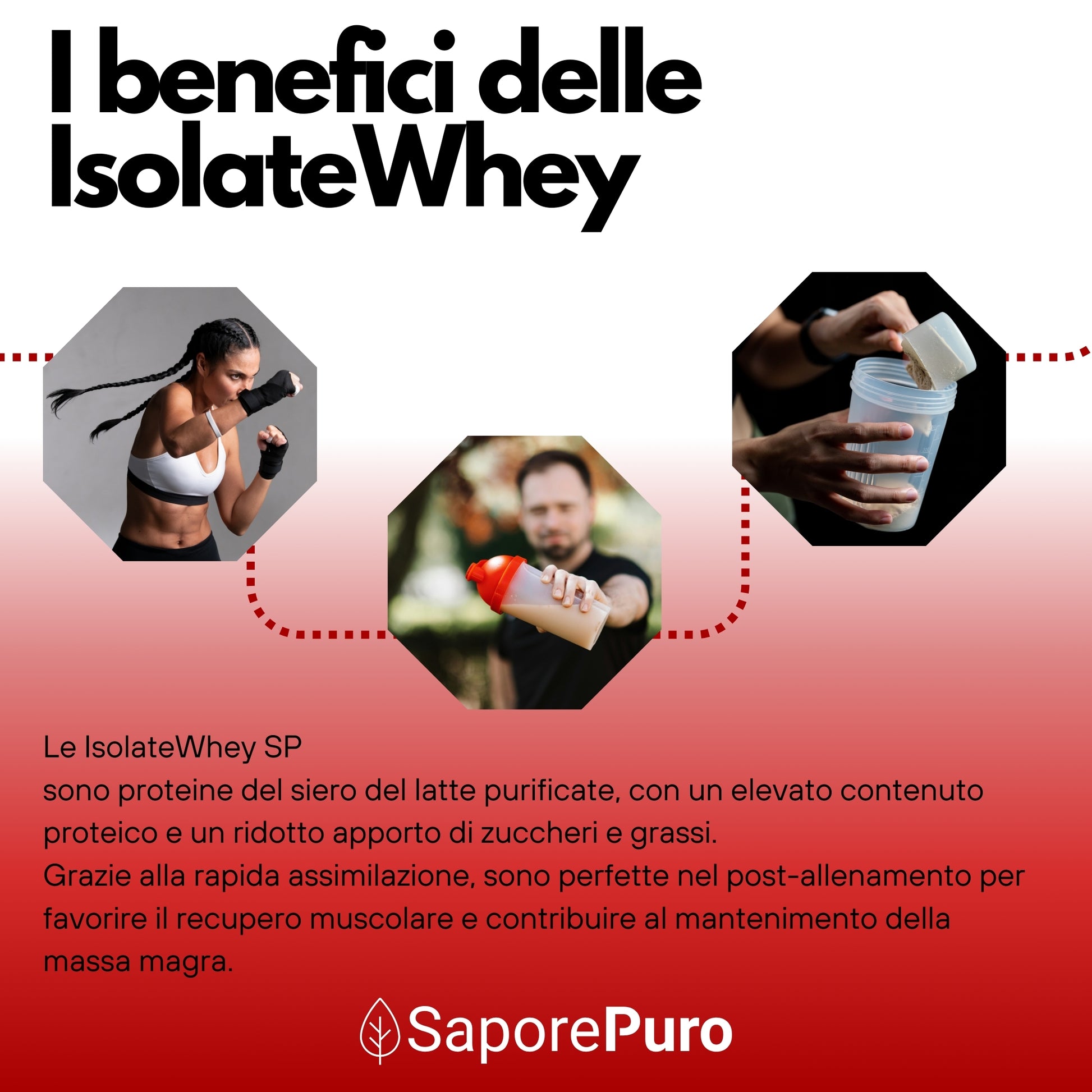 IsolateWhey SP – Proteine Whey Isolate del Latte - 100% Isolac 9102 Instant - SaporePuro