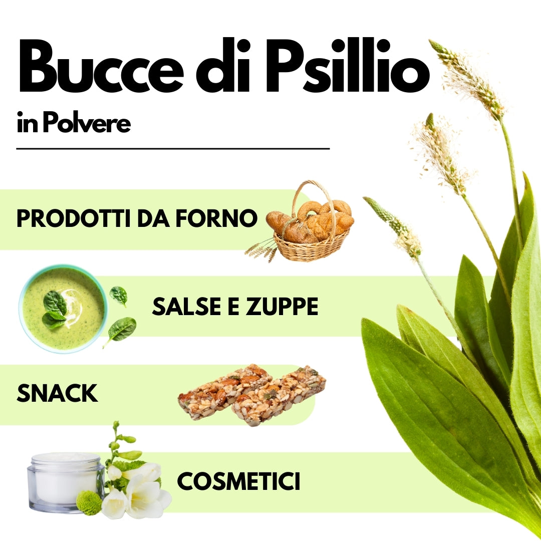 Bucce di Psillio in Polvere -Fibra di Psillio - 500gr - SaporePuro