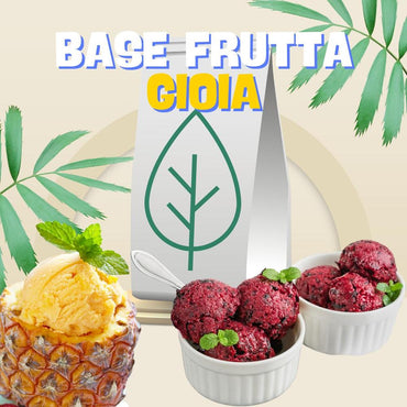 Preparato per gelato alla frutta SaporePuro Base Frutta Ninfa 240, 4,8kg, senza additivi, base per sorbetti naturali.