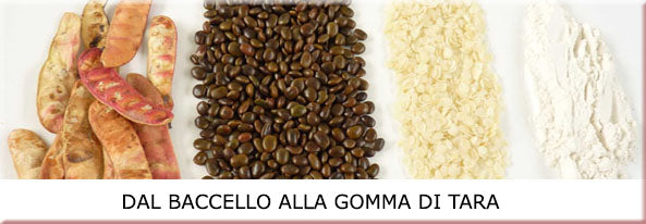 Gomma di Tara - 250gr - Origine Perù - Confezionato in Italia - SaporePuro