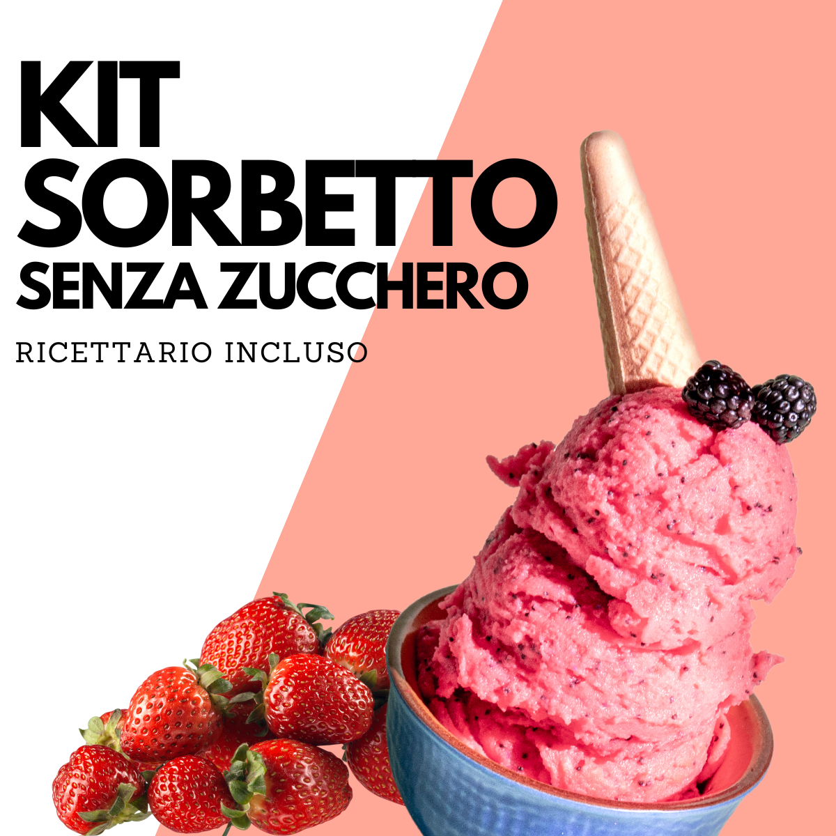 Zuckerfreie Sorbets - Komplettpaket mit Rezepten - SaporePuro