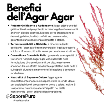 Agar Agar - E406 - Natural Gelling Agent - Origin ITALY - SaporePuro