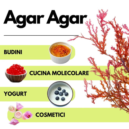 Agar Agar - E406 - Natural Gelling Agent - Origin ITALY - SaporePuro