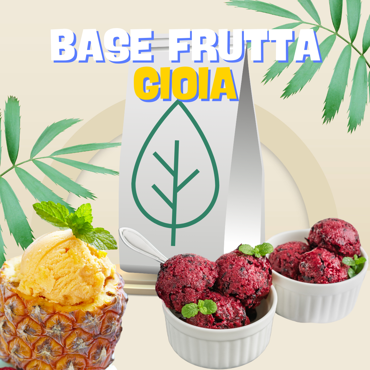 Gioia 240 Fruit Base - 4.8kg - Complete Sorbet Base Without Additives - SaporePuro - SaporePuro