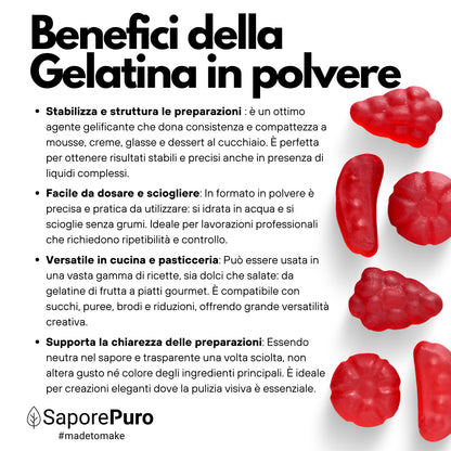 Gelatina Istantanea 200-220 bloom  - E441