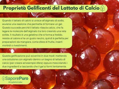 Lactate de calcium en poudre - E327 - Sphérification moléculaire